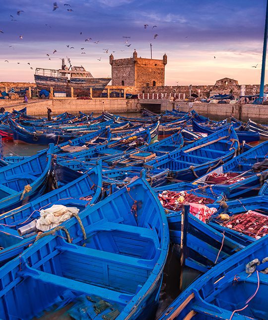 Medina of Essaouira — Atlantic ramparts and fortified Vauban-style walls