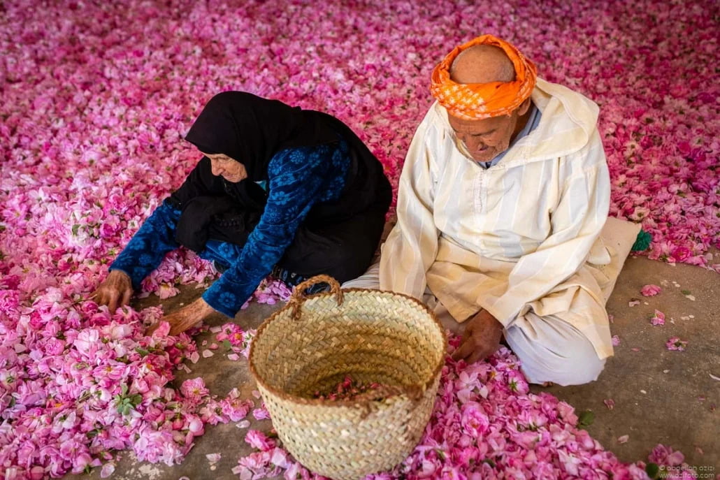 Rose festival celebrations in Kalaat M'Gouna during Morocco's spring season