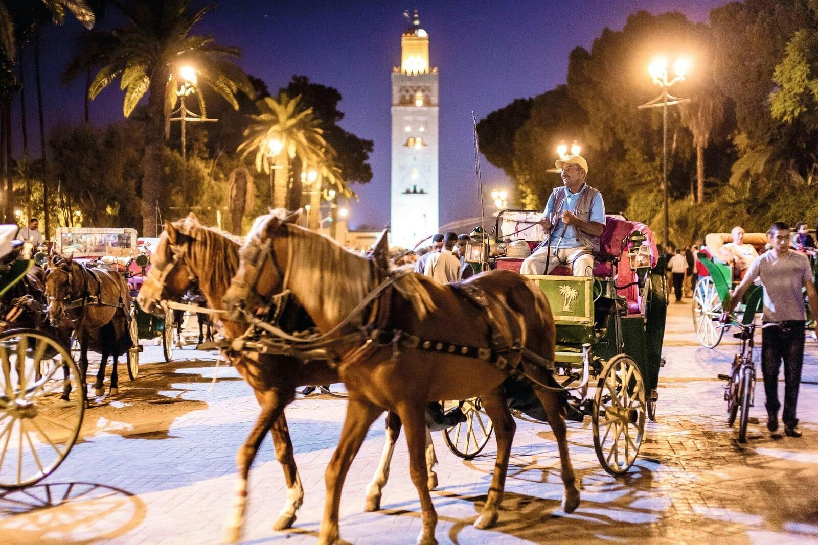 Horse-carriage (caleche) ride in Marrakech — classic transport around the medina