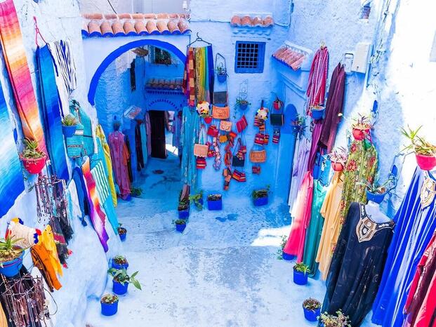 Narrow blue-painted alleyway in the Chefchaouen medina lined with potted plants